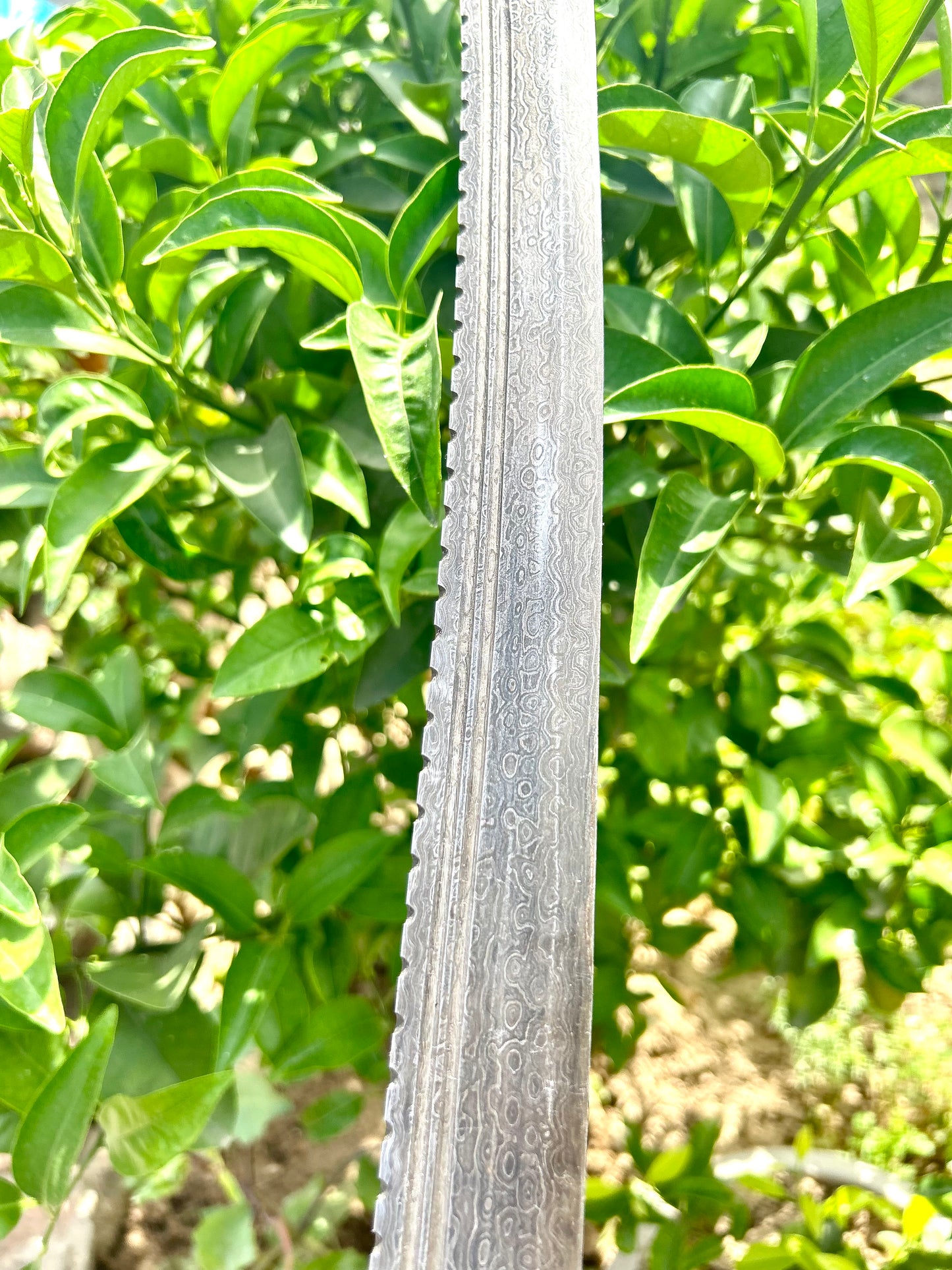 Damascus Blade Tegh